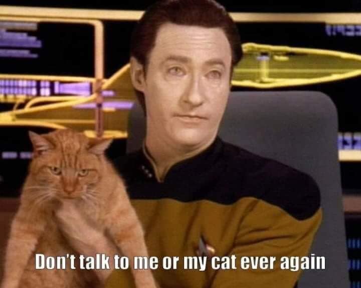 This meme is a still image from the TV show Star Trek: The Next Generation, featuring Captain Jean-Luc Picard (played by Patrick Stewart) sitting in his chair, looking stern and unimpressed. The text "Don't talk to me. Or my cat. Ever again." is written in a font that mimics the show's font style. The image is a humorous take on the character's famous "make it so" line, but instead of giving an order, he's expressing his displeasure at being bothered.